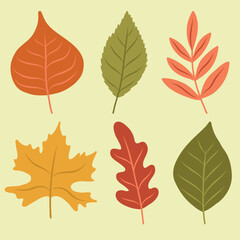 Set of colorful autumn leaves, hand drawn clip art, vector