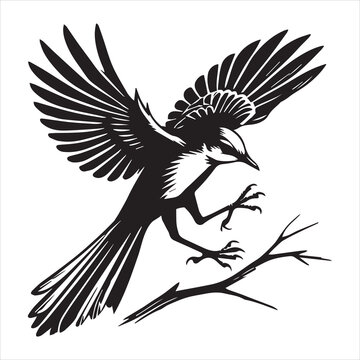 recommend clip art: Northern mockingbird Clipart, Northern mockingbird silhouette, Bird illustration in black and white