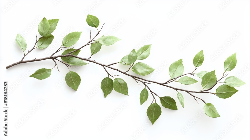 Aufkleber a realistic branch with green leaves on white background for nature and ecology concepts generative 