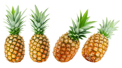 Pineapple isolated on white background, full depth of field