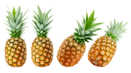 Pineapple isolated on white background, full depth of field