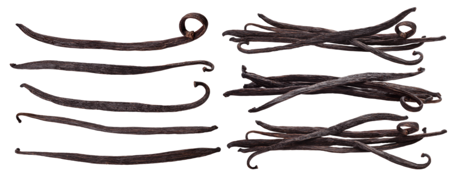 Vanilla bean isolated on white background, clipping path, full depth of field