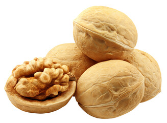 Walnut, nut, isolated on white background, full depth of field