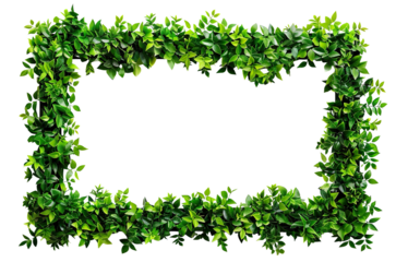 Lush green leaves forming a natural frame, cut out