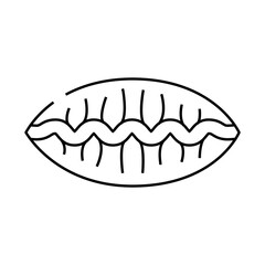 buriki kimchi-mandu dish line icon vector. buriki kimchi-mandu dish sign. isolated contour symbol black illustration