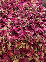 Dried pink rose blossoms