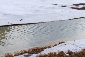 frozen river in winter