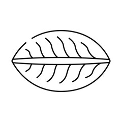 momo dumpling line icon vector. momo dumpling sign. isolated contour symbol black illustration