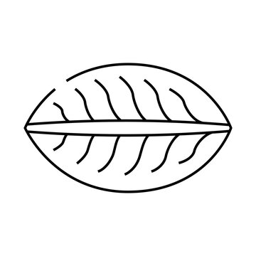 recommend clip art: momo dumpling line icon vector. momo dumpling sign. isolated contour symbol black illustration