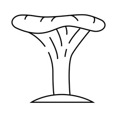 chanterelle mushroom line icon vector. chanterelle mushroom sign. isolated contour symbol black illustration