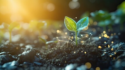 A small plant sprouting from the ground, with futuristic technology graphics, showcasing agricultural innovations.