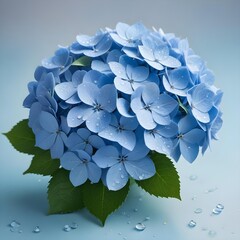 A blue hydrangea with dew drops glistening against a gentle pastel background