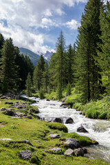 alps, Val S-charl, Scuol, lower Engadine, Swiss