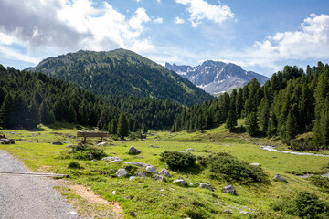 alps, Val S-charl, Scuol, lower Engadine, Swiss