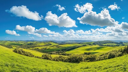 Obraz premium A wide panoramic view of rolling green hills and lush meadows under a bright blue sky dotted with white clouds.