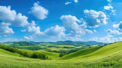 Obraz premium A wide panoramic view of rolling green hills and lush meadows under a bright blue sky dotted with white clouds.