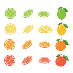 Big vector set of fresh delicious citrus fruits. Lime, lemon, orange and grapefruit on white isolated background. Summer fruits slices collection. 