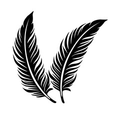 Obraz premium feather illustration
