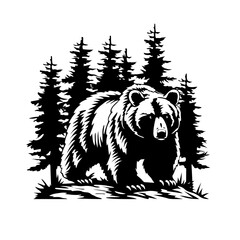 bear in the woods