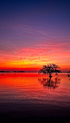 Fototapeta premium An intense sunset over a peaceful lake