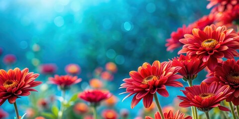 Blue background with vibrant red flowers in the foreground, blue, background, red, flowers, vibrant, colorful, nature