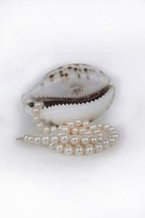 pearl necklace on white background with a sea shell 