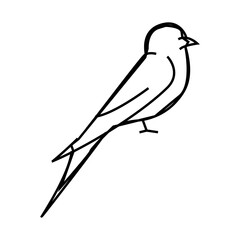 swift bird line icon vector. swift bird sign. isolated contour symbol black illustration