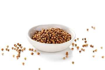 Dried coriander seeds in the white plate, isolated on white background