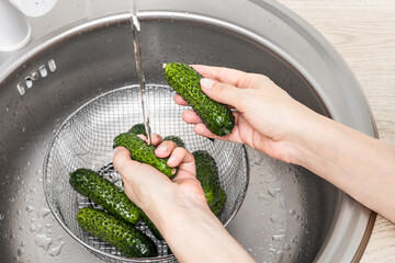 housewife washes fresh cucumbers in a colander. housewife washes fresh cucumbers in the kitchen sink. woman washes cucumbers in the kitchen. cucumber harvest. 