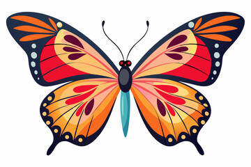 Colorful Butterfly with Orange and Red Wings