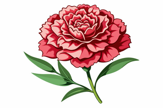 Carnation clip art preview