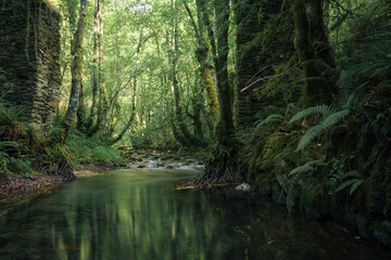 A river flows peacefully between the ancient pillars of a ruined bridge