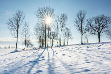 Winter snowy landscape with fallen leafy trees, shot directly into the sun creating a star, frosty sunny day, tree shadows, winter background, winter landscape monochrome colors, snow texture