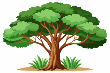 Fototapeta premium A large, leafy tree with a brown trunk and green grass at its base