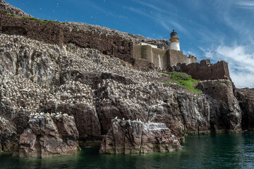 Bass Rock Island With Nesting Northern Gannets (Morus Bassanus) In The Atlantic Ocean Of Firth of Forth At North Berwick Near Edinburgh In Scotland