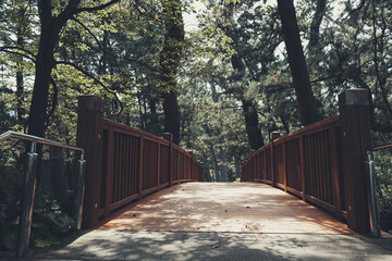 木の橋が松林の中の遊歩道に架かっている
