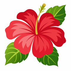 Tropical hibiscus flower  art vector