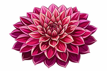 A Single Crimson Dahlia Blossom in Full Bloom