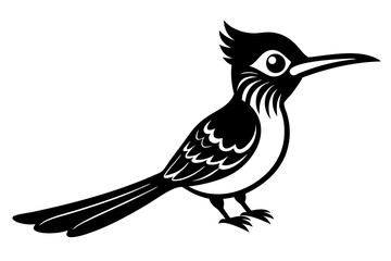 cute jacamar vector silhouette