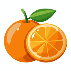 Orange fruit whole and half vector isolated on white background 