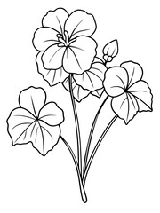 Line art of Nasturtium plant 