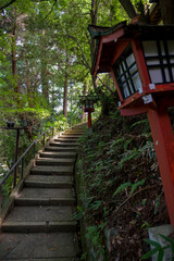Way to the summit of Mount Takao adorned with hundreds of Red Lanterns along the ascent