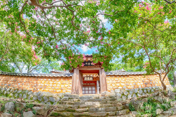 Traditional Korean Hanok Village with Red Crape Myrtle Flowers in Bloom