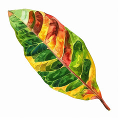 Croton Leaf Watercolor Clipart on white background