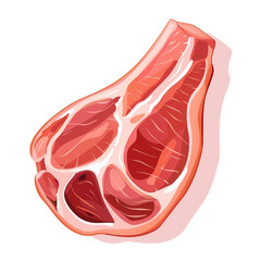 Top view of Parma ham in a cartoon style on white background