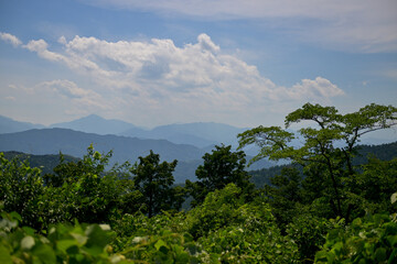 Fototapeta premium View of the Mountains from the Summit of Mount Takao in Japan