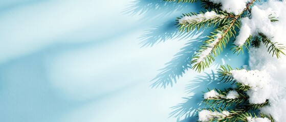 Snow-covered pine branches casting shadows against a light blue background, evoking a serene winter scene, perfect for holiday themes.