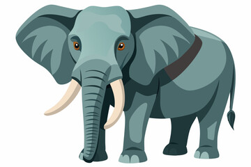 Fototapeta premium A Gray Elephant with Large Ears and Tusks