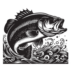 sea bass fish illustration silhouette vector