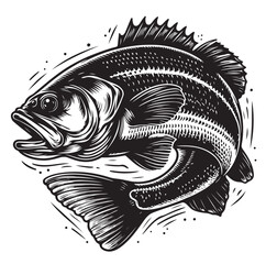 sea bass fish illustration silhouette vector